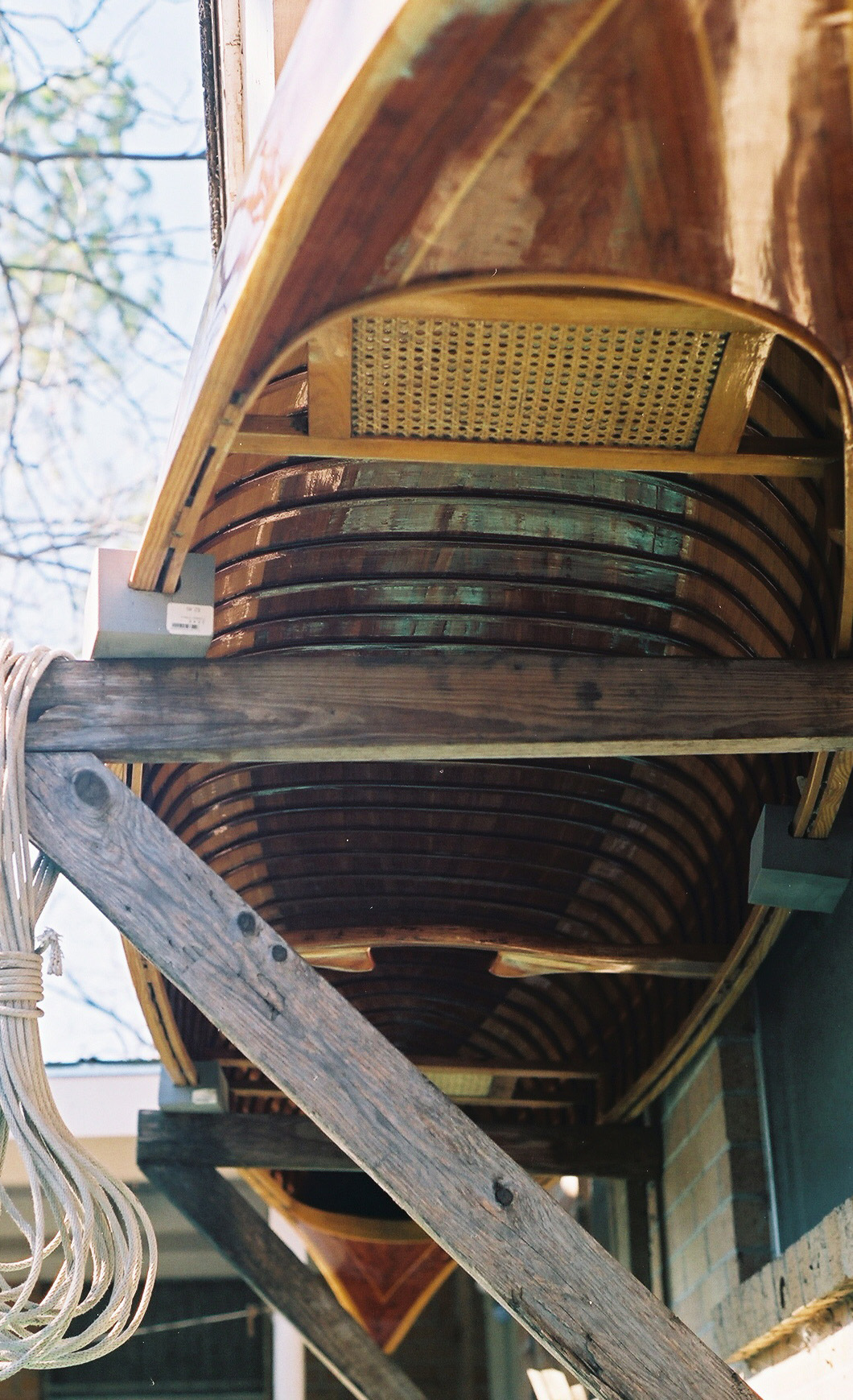  in the design and building of unique wooden canoes and paddles